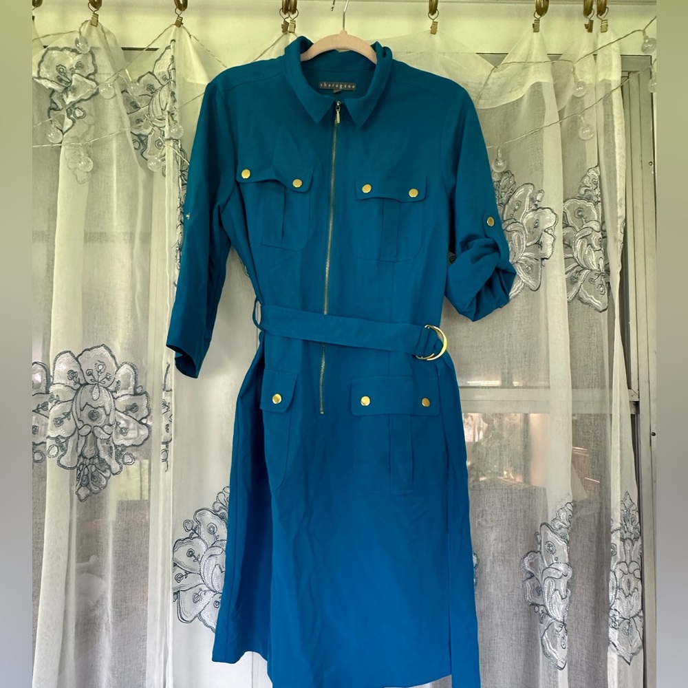 Sharagano Shirt Dress